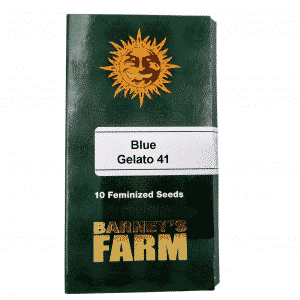 Barney's Farm Blue Gelato 41