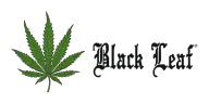 Black-Leaf_30