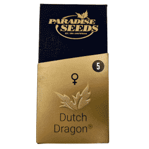 Paradise Seeds Dutch Dragon