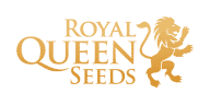Royal-Queen-Seeds_2