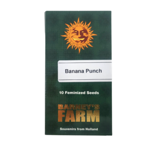 Banana Punch Barney's Farm